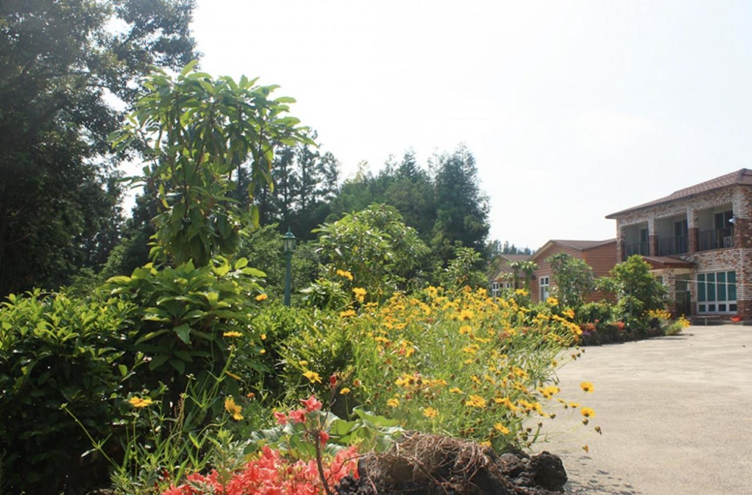 Jeju Ts Youth Hostel & Resort Seogwipo Dış mekan fotoğraf