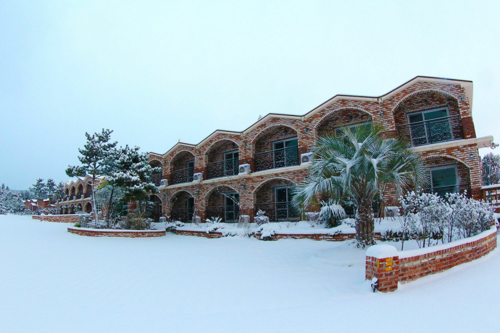 Jeju Ts Youth Hostel & Resort Seogwipo Dış mekan fotoğraf
